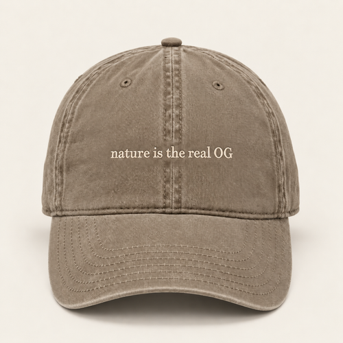 Dune hat on a warm cream background